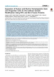 Expansion of human and murine hematopoietic stem and progenitor cells ex vivo without genetic modification using MYC and Bcl-2 fusion proteins