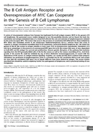 The B cell antigen receptor and overexpression of MYC can cooperate in the genesis of B cell lymphomas