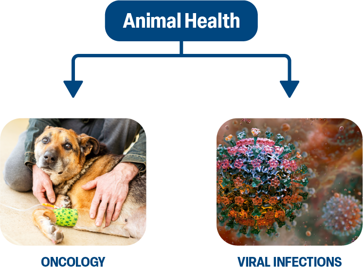 What We Do Animal Health