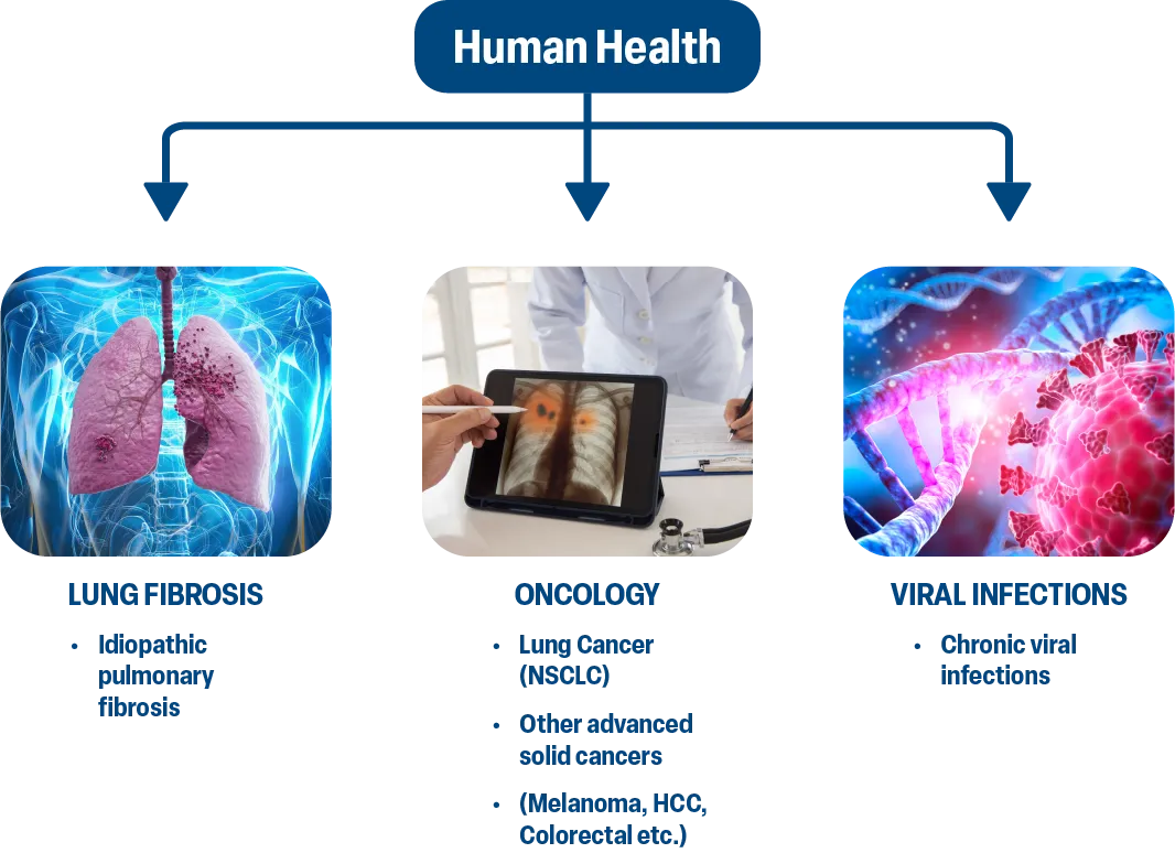 What We Do Human Health